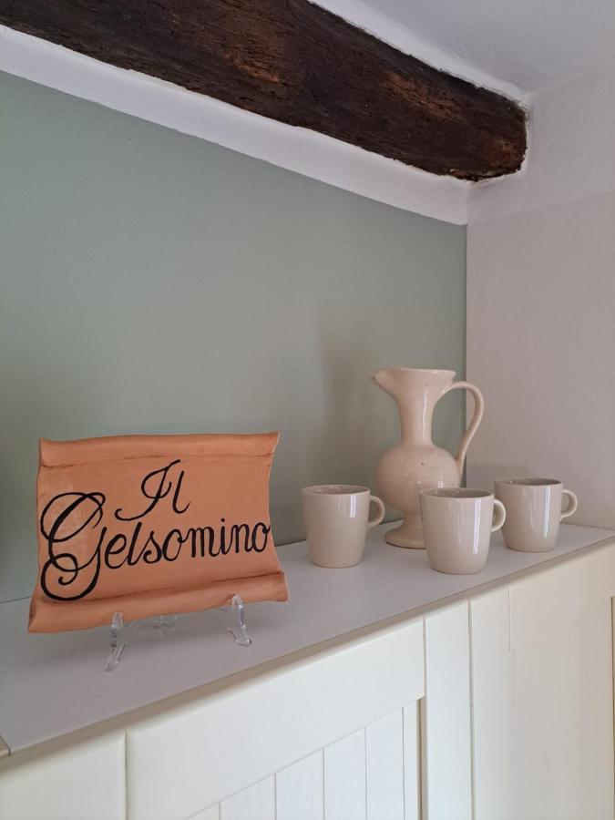 Il Gelsomino Apartment Pitigliano Eksteriør billede