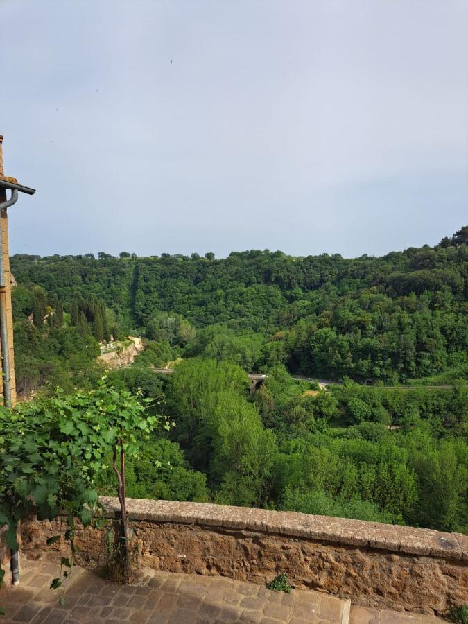Il Gelsomino Apartment Pitigliano Eksteriør billede