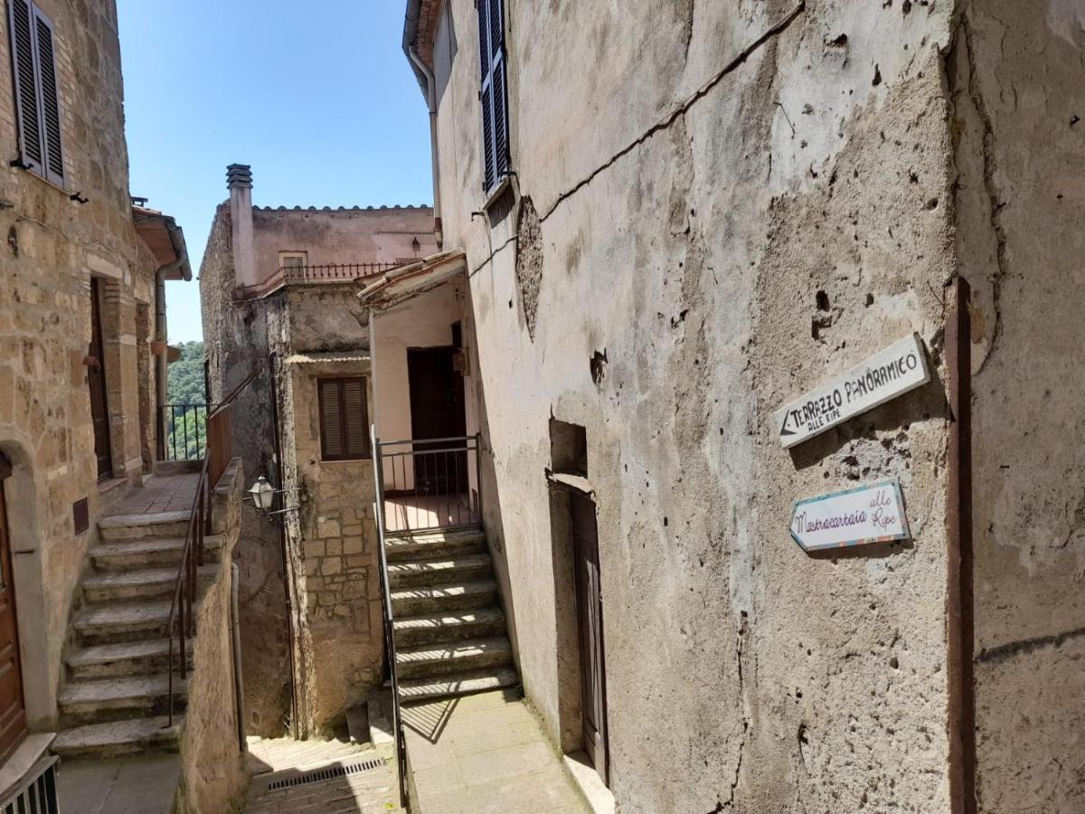 Il Gelsomino Apartment Pitigliano Eksteriør billede
